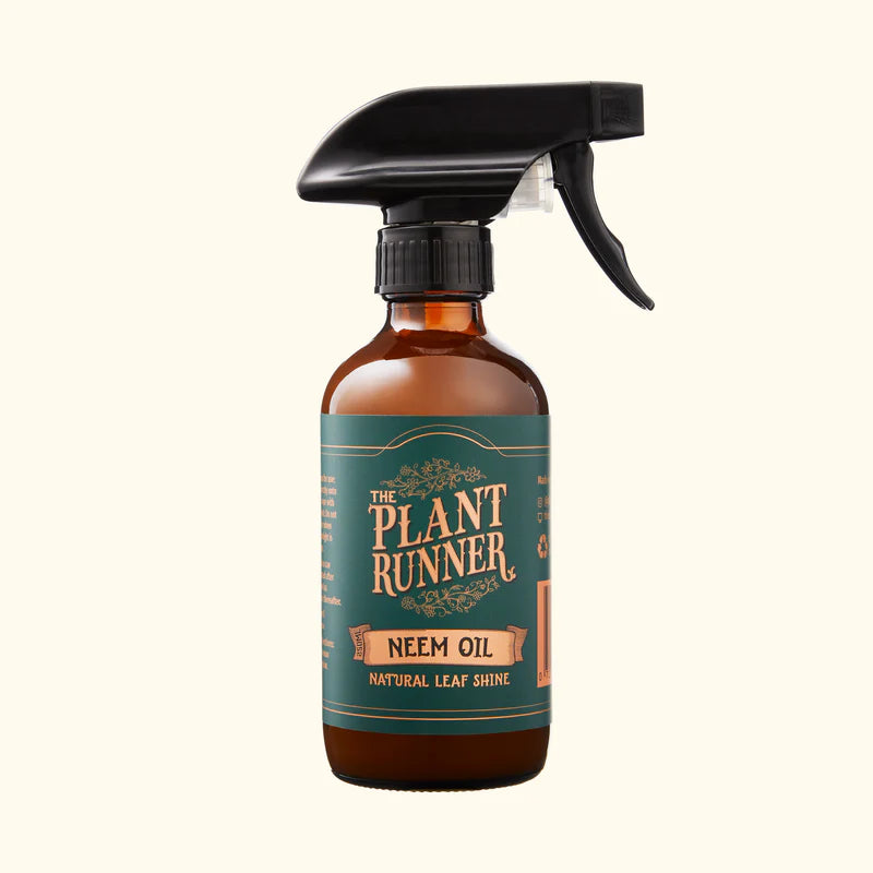 The Plant Runner - Neem Oil | The Ivy Plant Studio